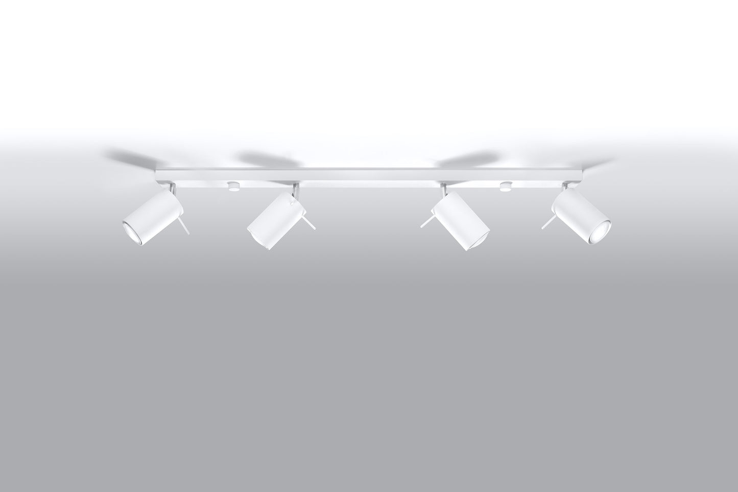 Ceiling Lamp RING 4L white
