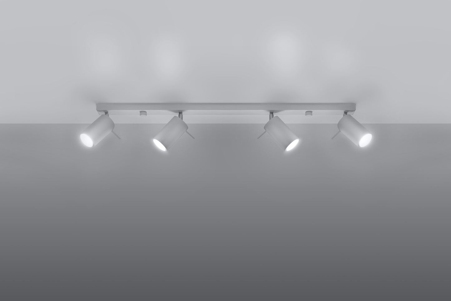 Ceiling Lamp RING 4L white