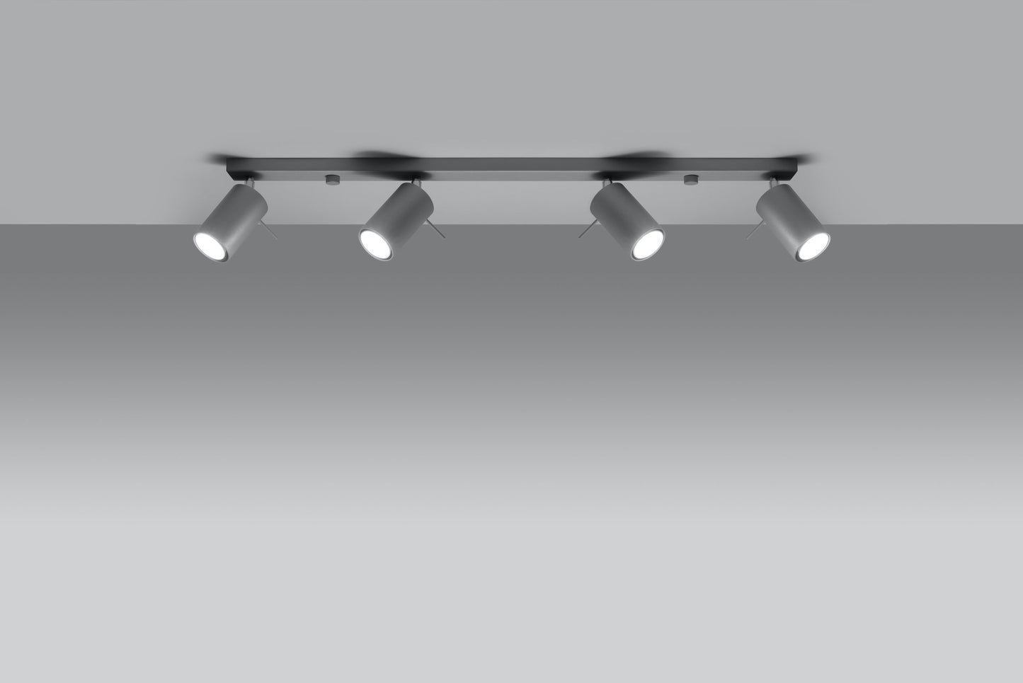 Ceiling lamp RING 4L grey