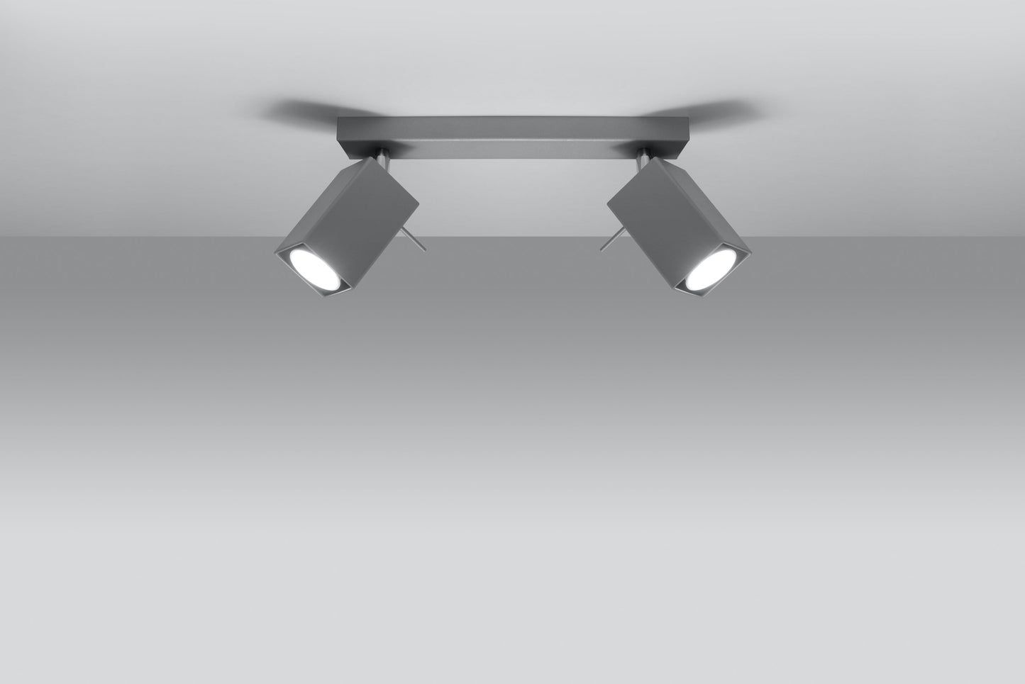 Ceiling lamp MERIDA 2 grey