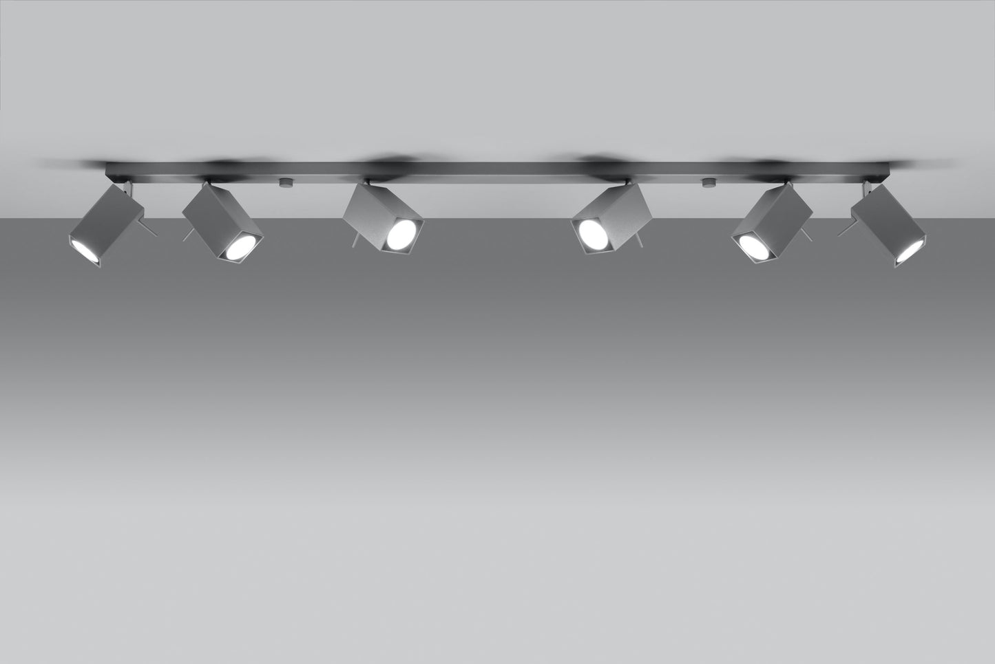 Ceiling lamp MERIDA 6L grey