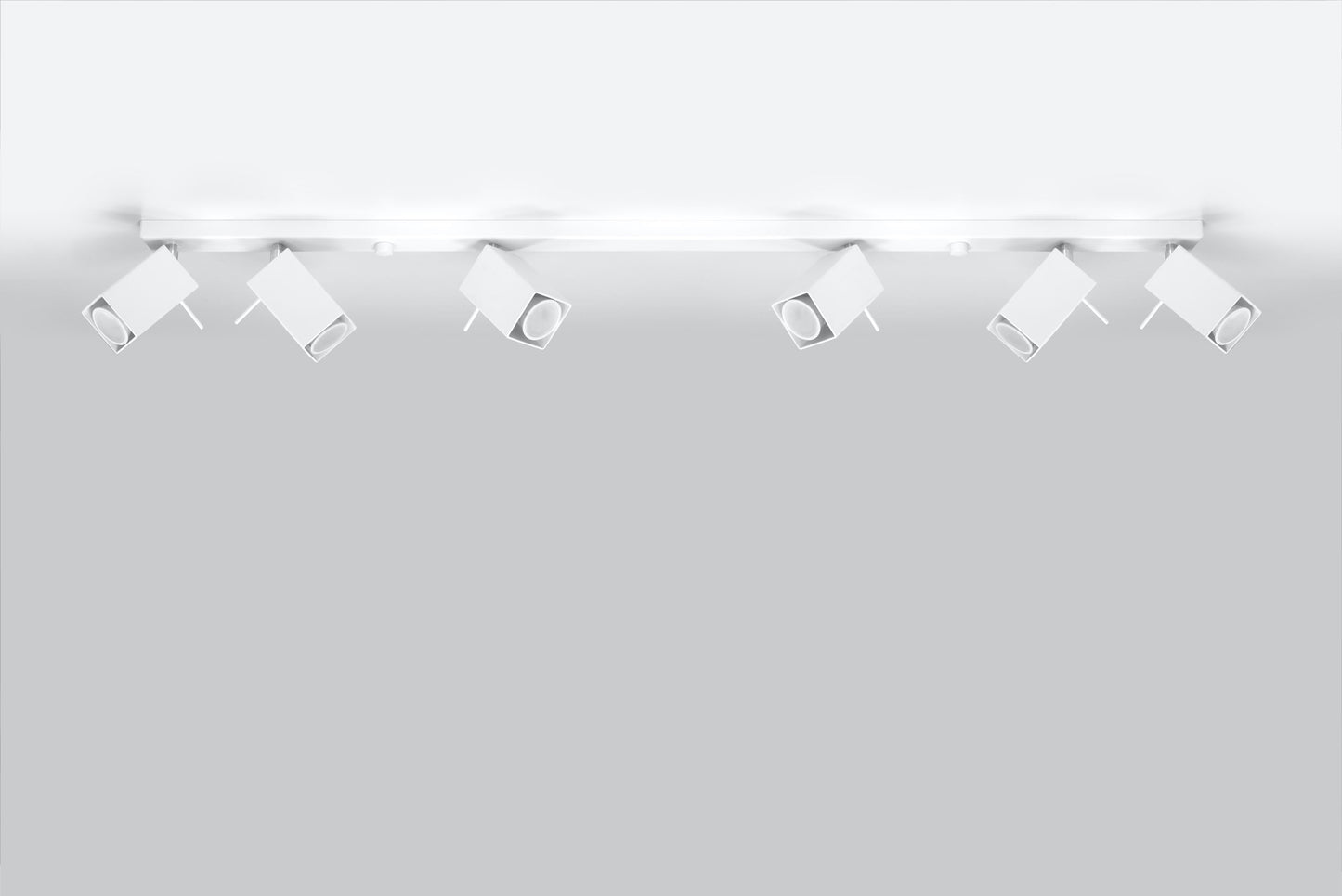 Ceiling lamp MERIDA 6L white