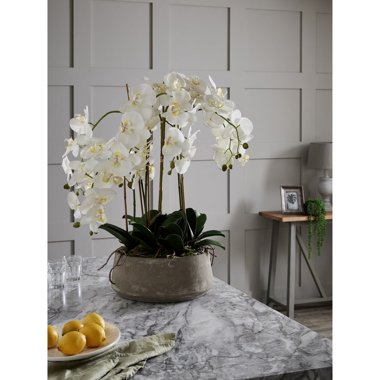 Large White Orchid In Stone Pot
