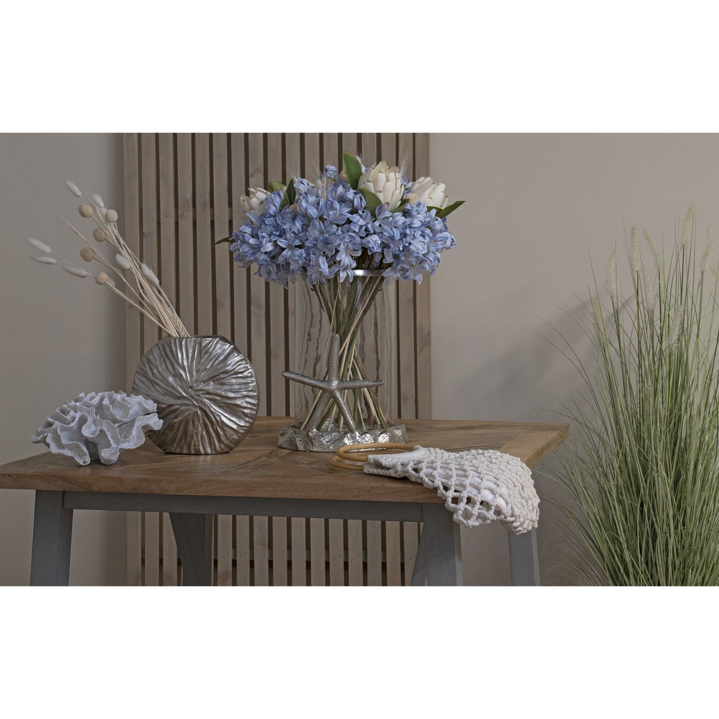 Light Blue Large Headed Agapanthus