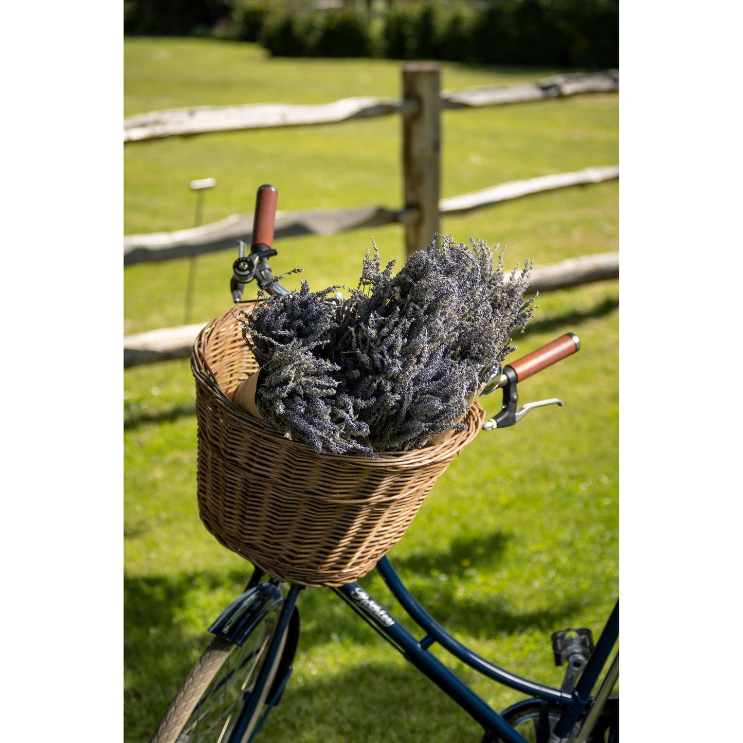 Dried lavender Bunch