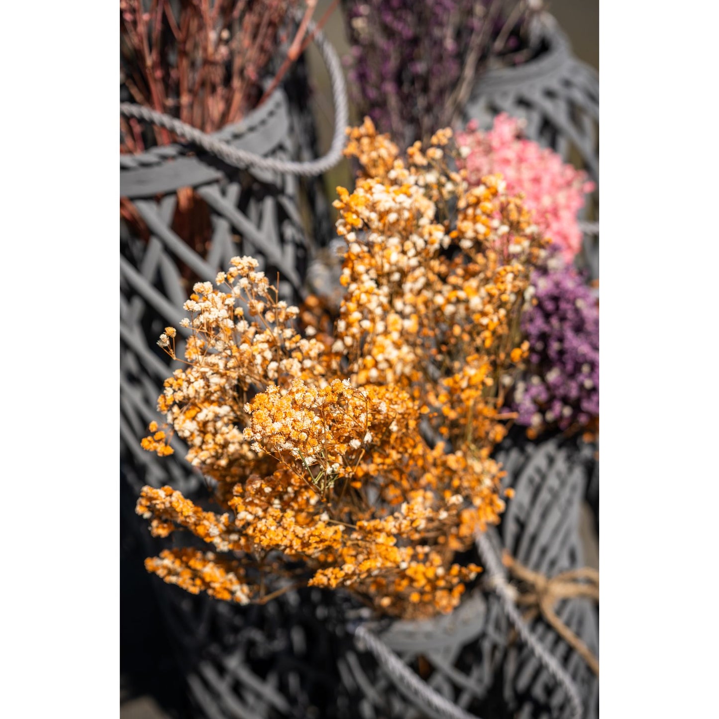 Dried Orange Babys Breath Bunch