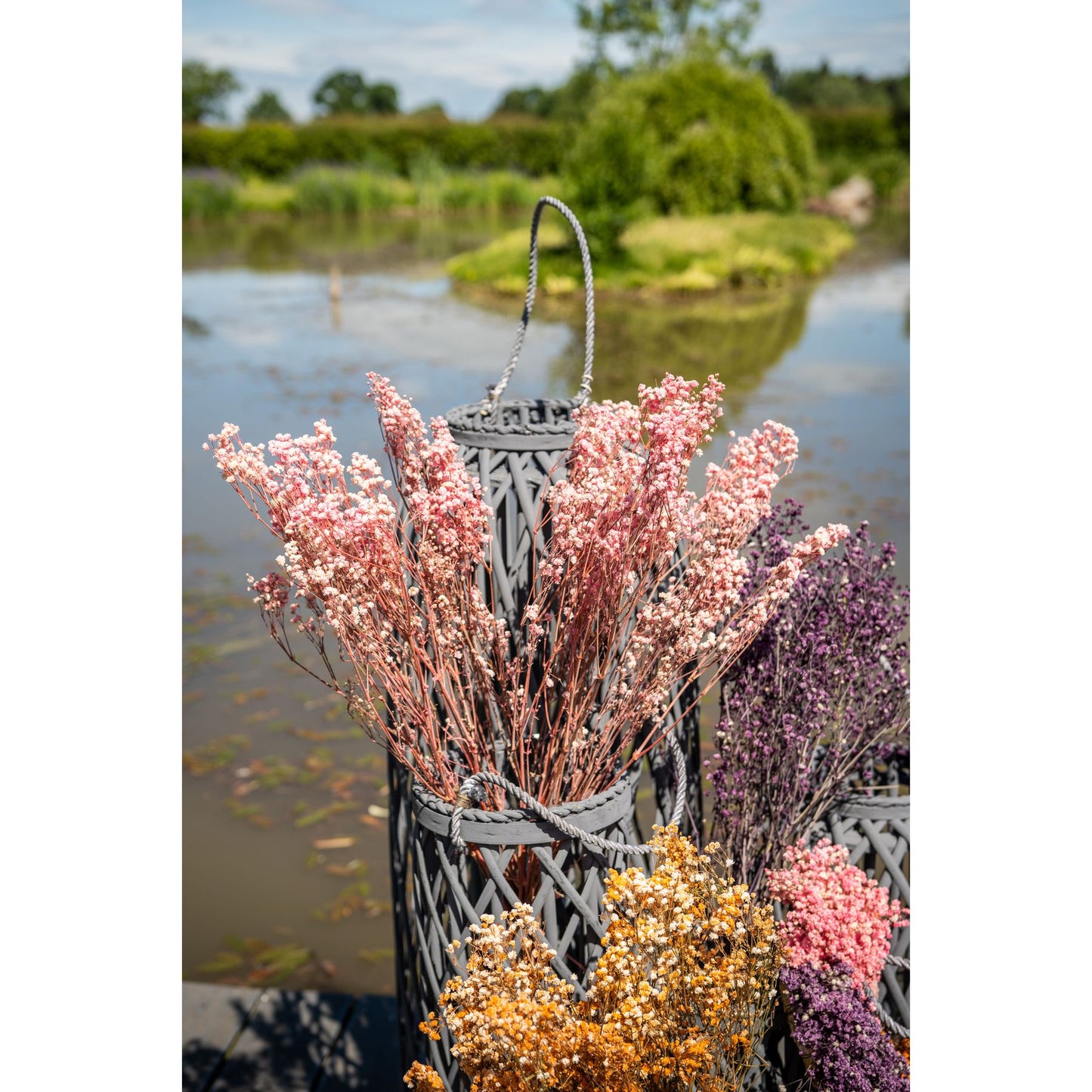 Dried Pale Pink Babys Breath Bunch