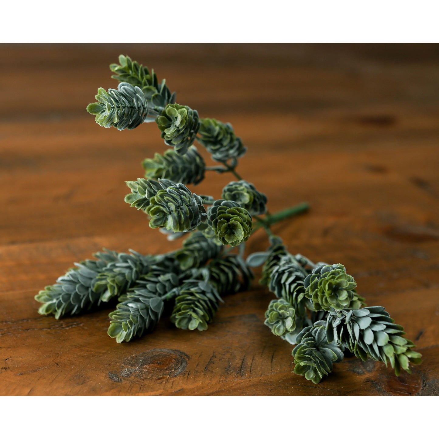 Hops Greenery Bunch