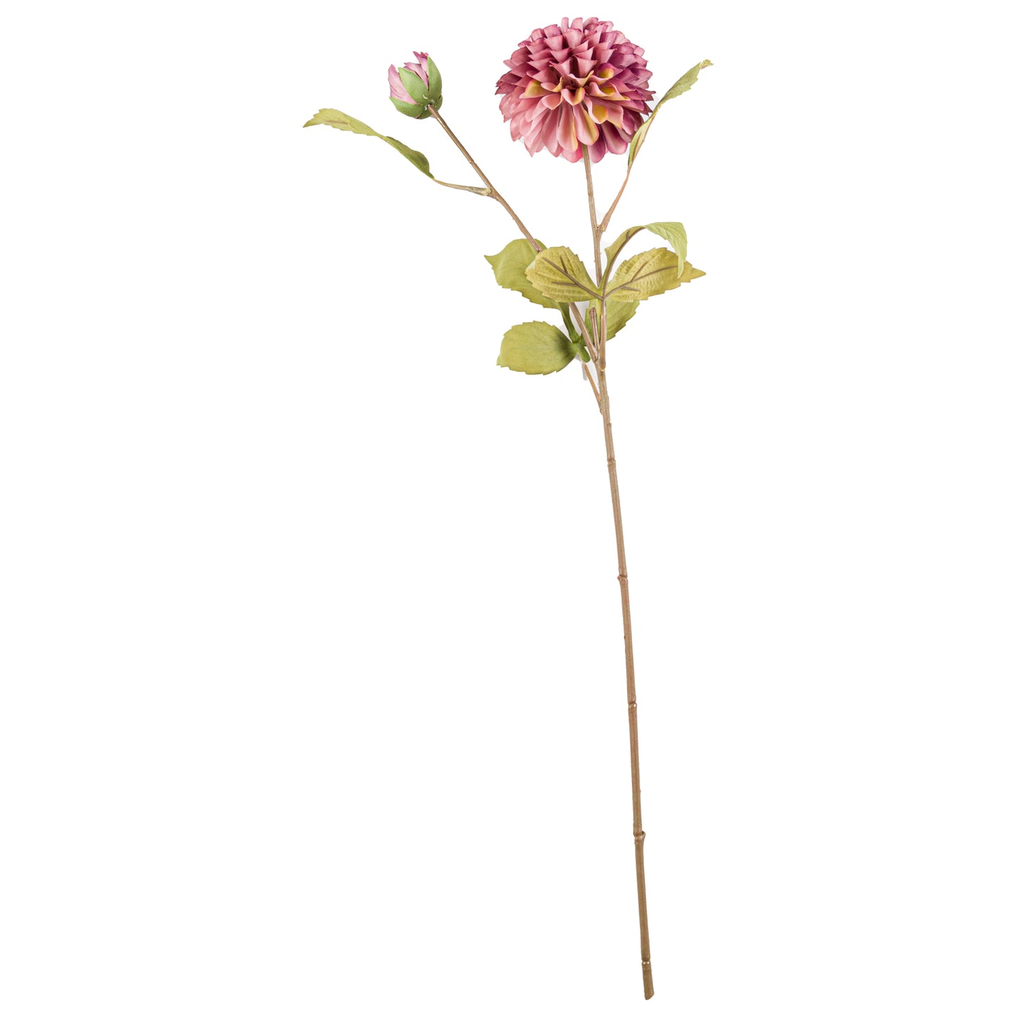 Dusty Pink Dahlia Stem