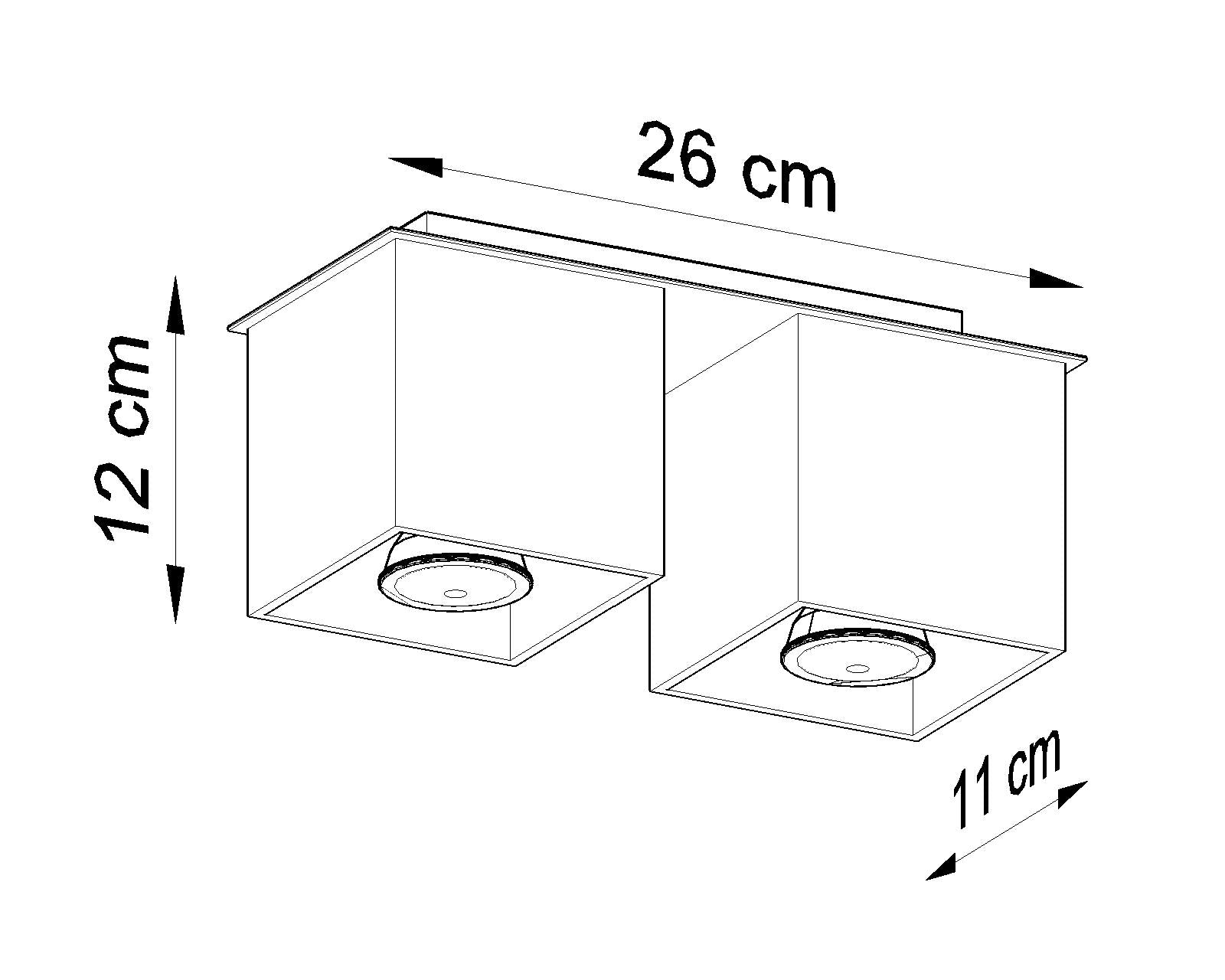 Ceiling Lamp QUAD 2 black