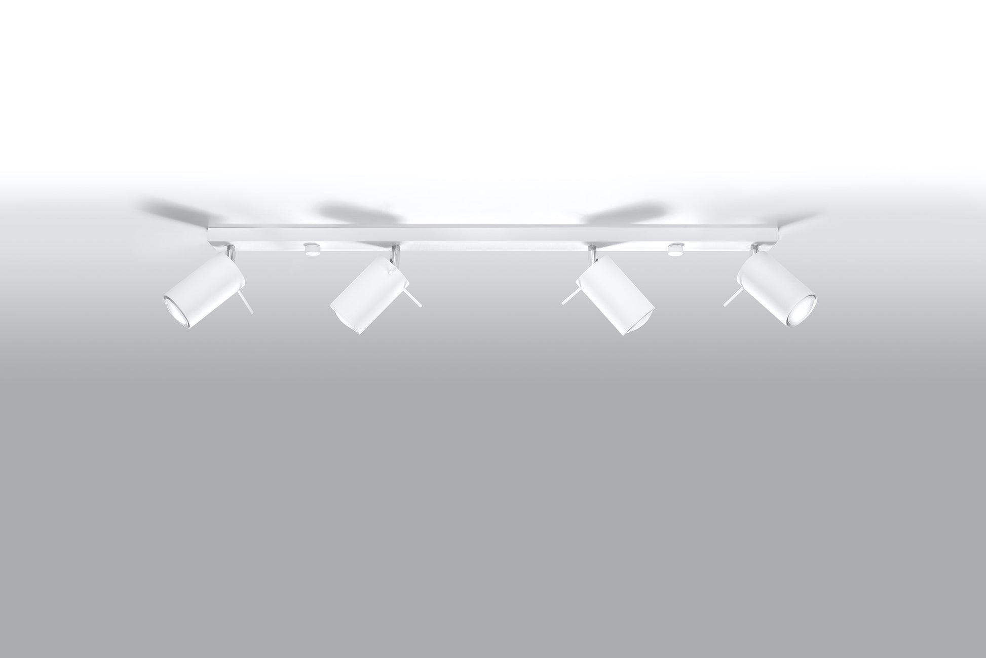 Ceiling Lamp RING 4L white