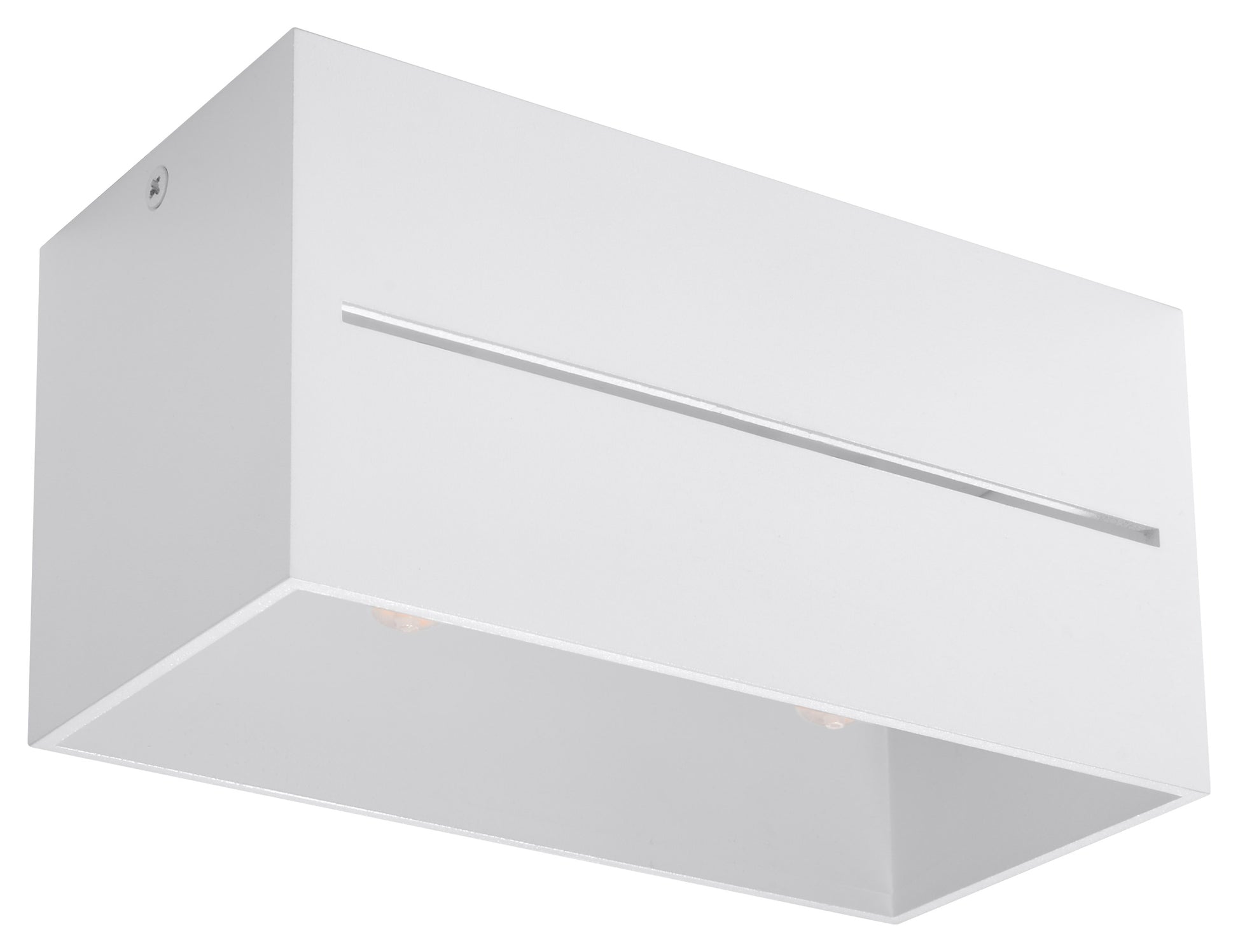 Ceiling Lamp LOBO 2 white