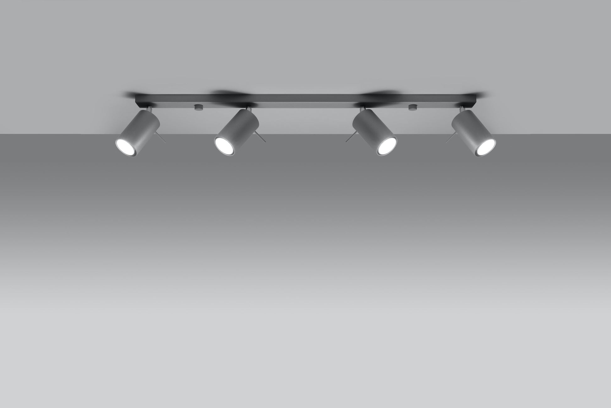 Ceiling lamp RING 4L grey