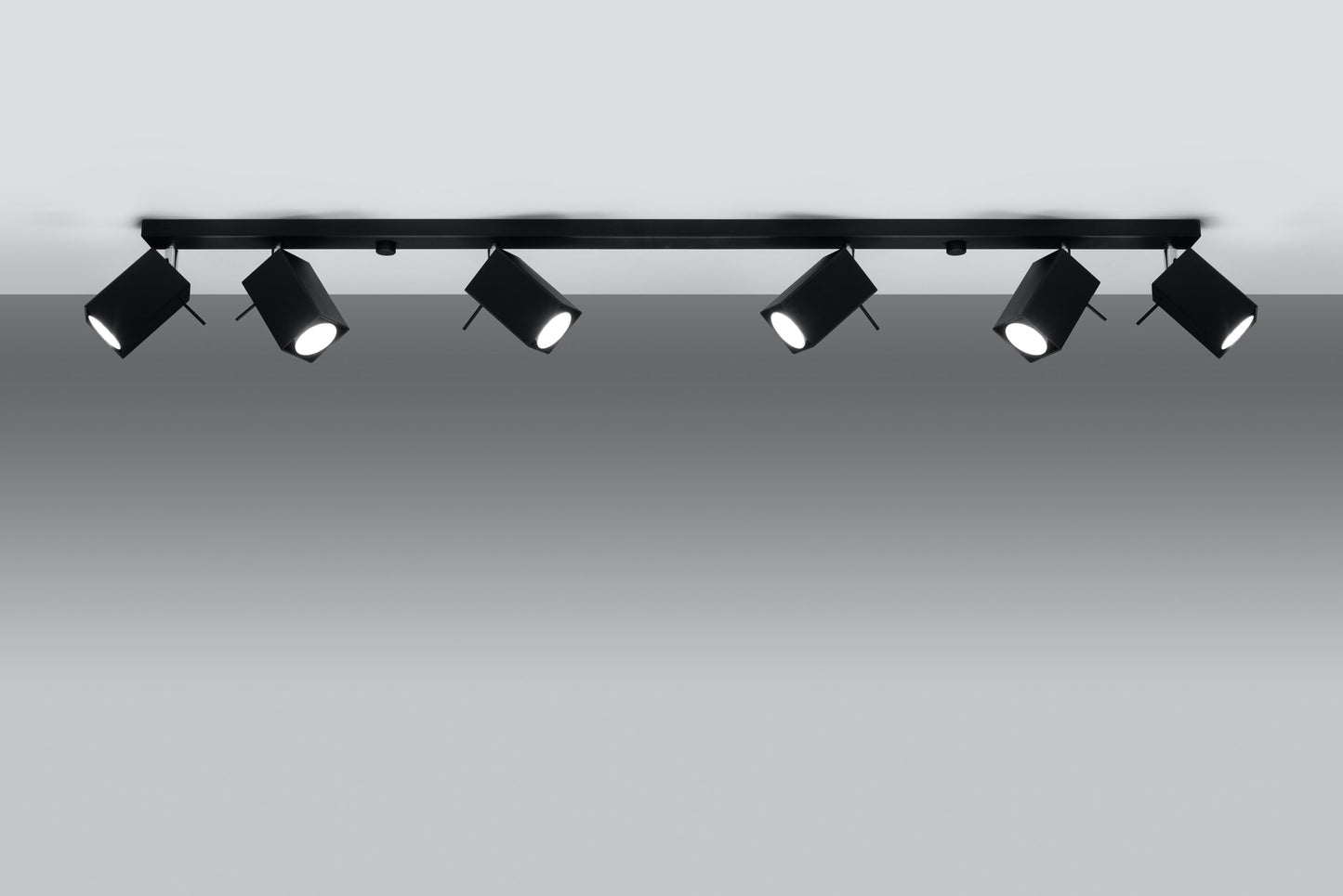 Ceiling lamp MERIDA 6L black