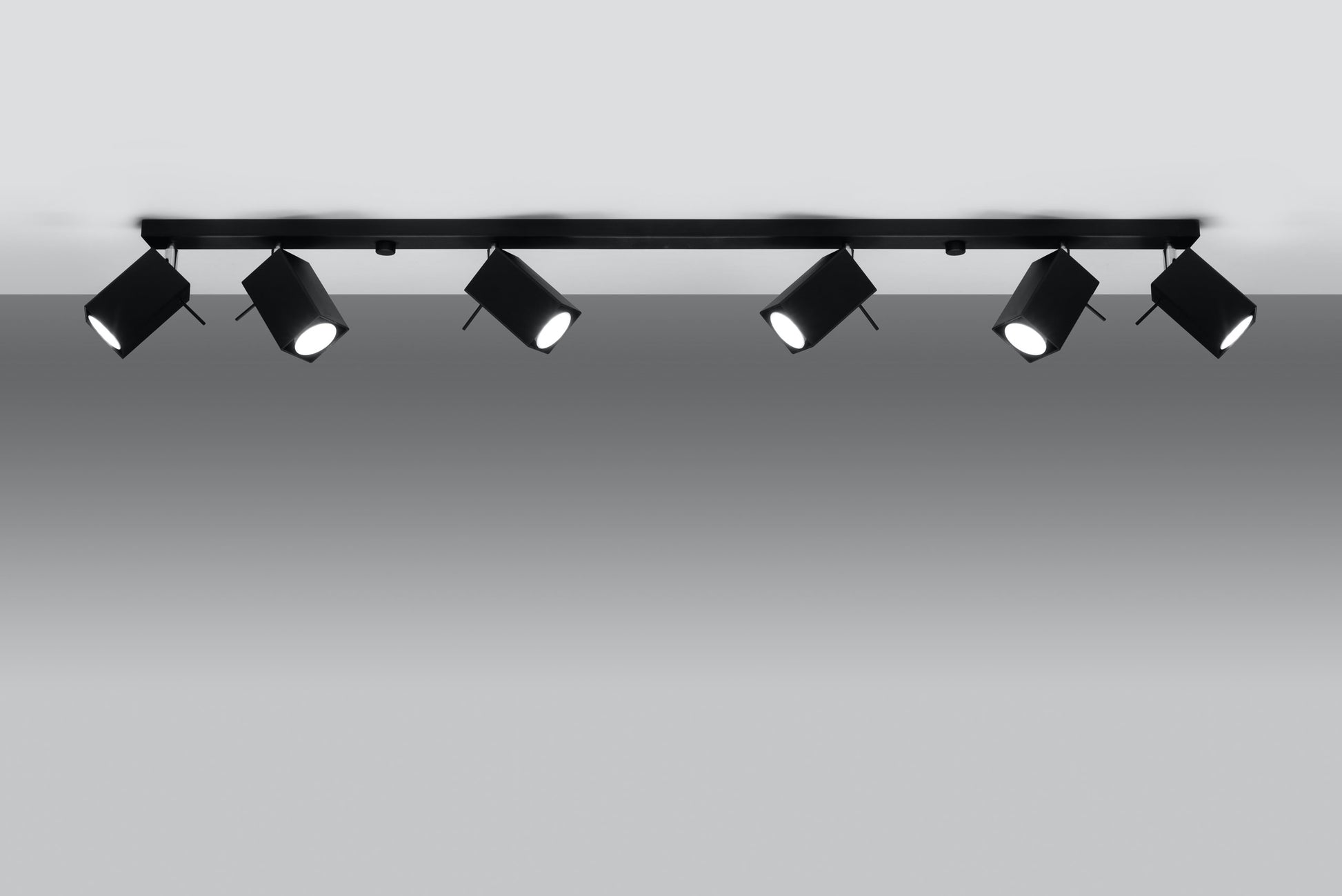 Ceiling lamp MERIDA 6L black