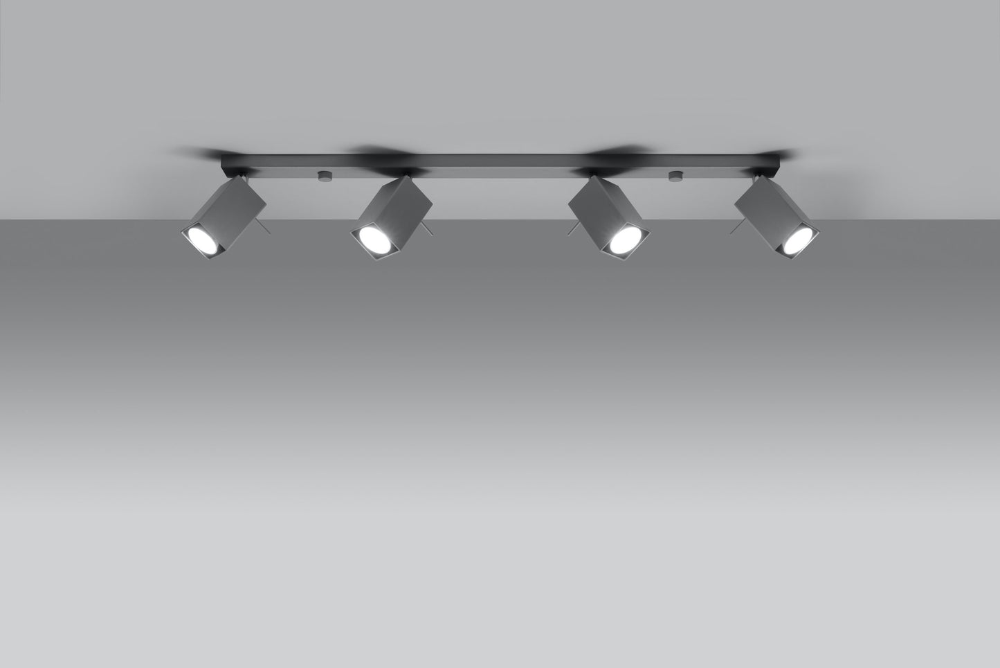 Ceiling lamp MERIDA 4L grey