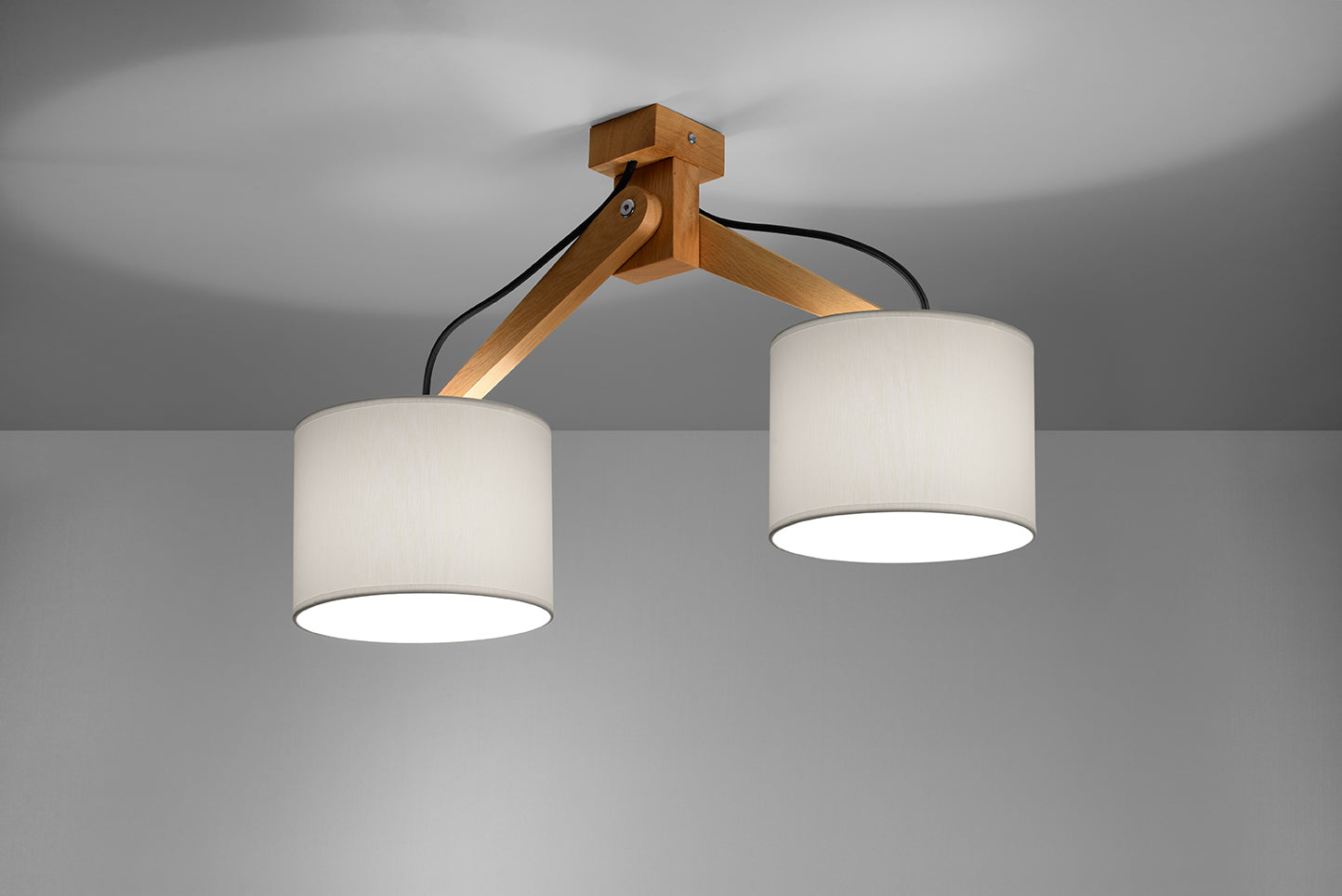 Ceiling Lamp LEGNO 2
