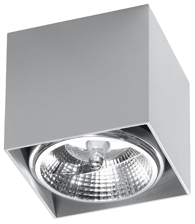 Ceiling Lamp BLAKE grey