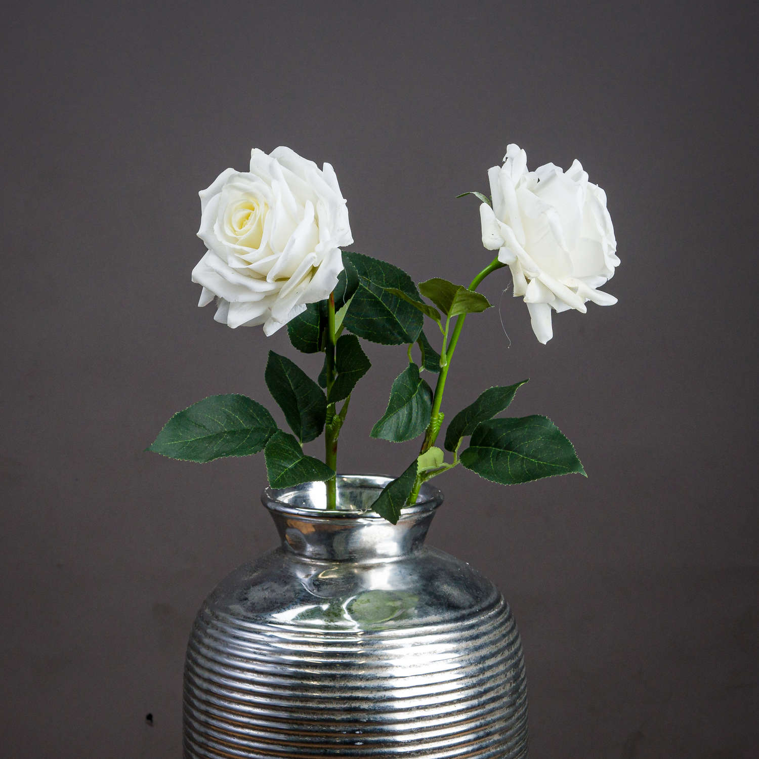 Large White Garden Rose