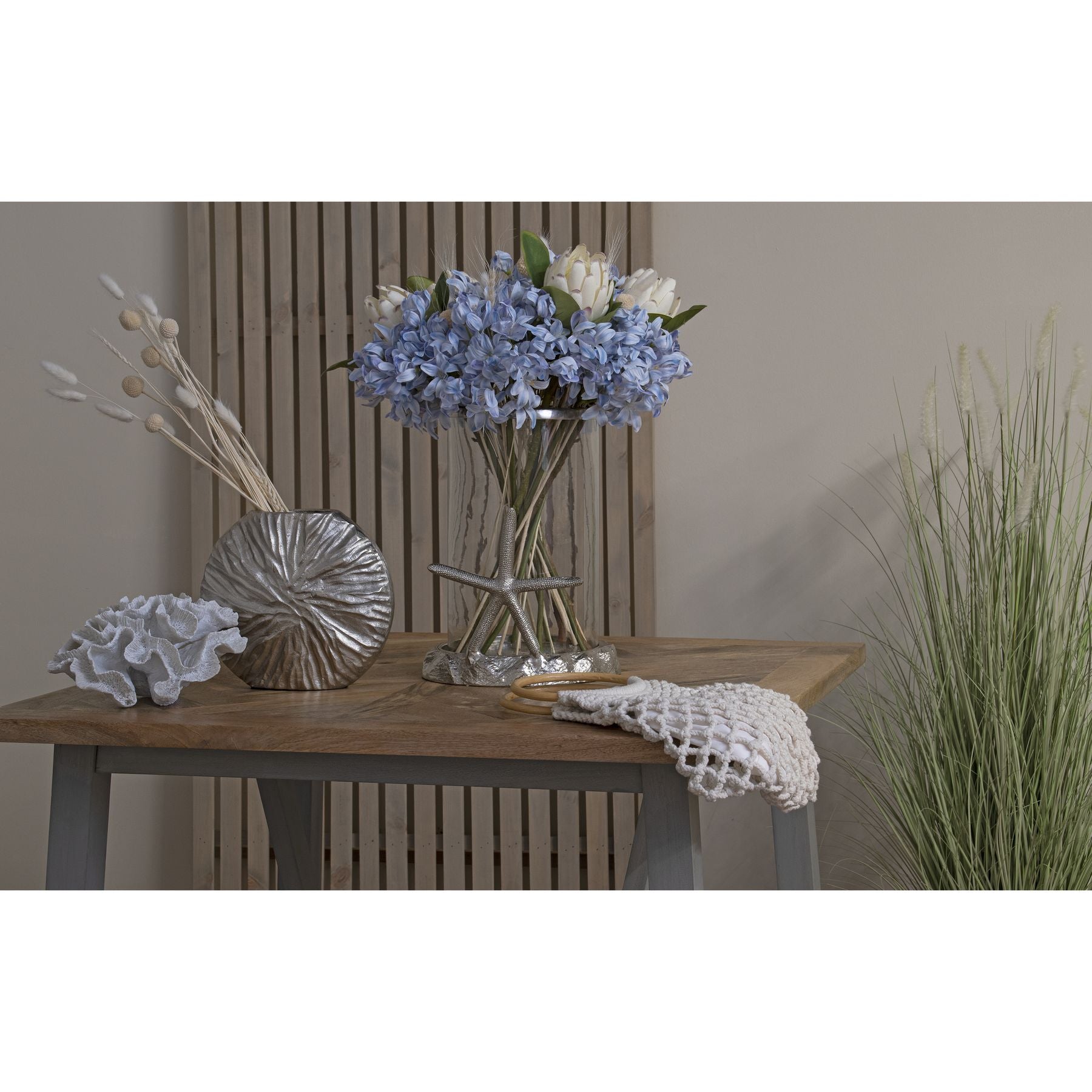 Light Blue Large Headed Agapanthus