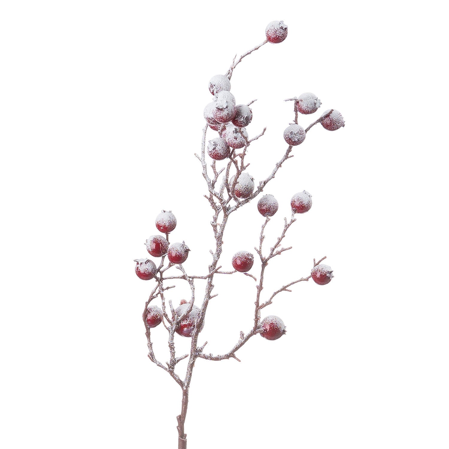 Large Red Festive Berry