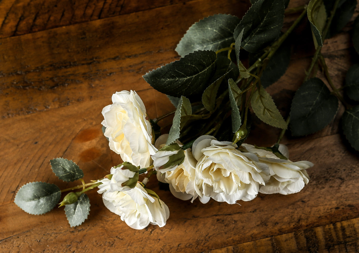 Soft White Cottage Rose Stem