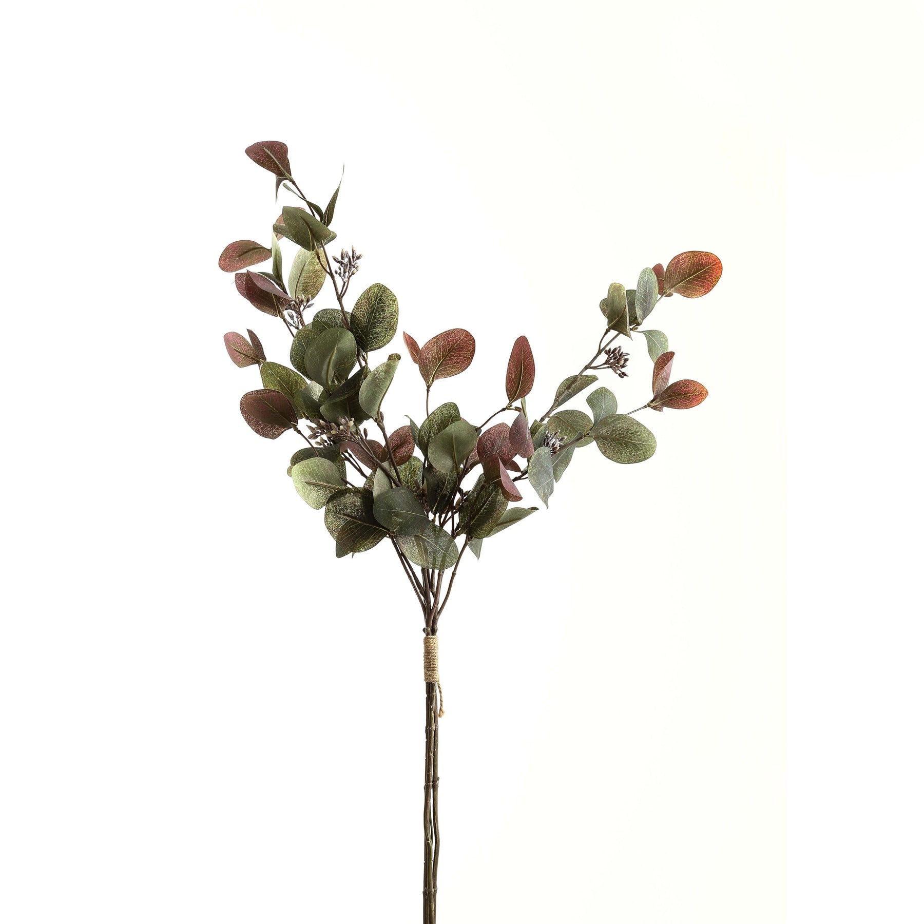 Variegated Eucalyptus Bouquet