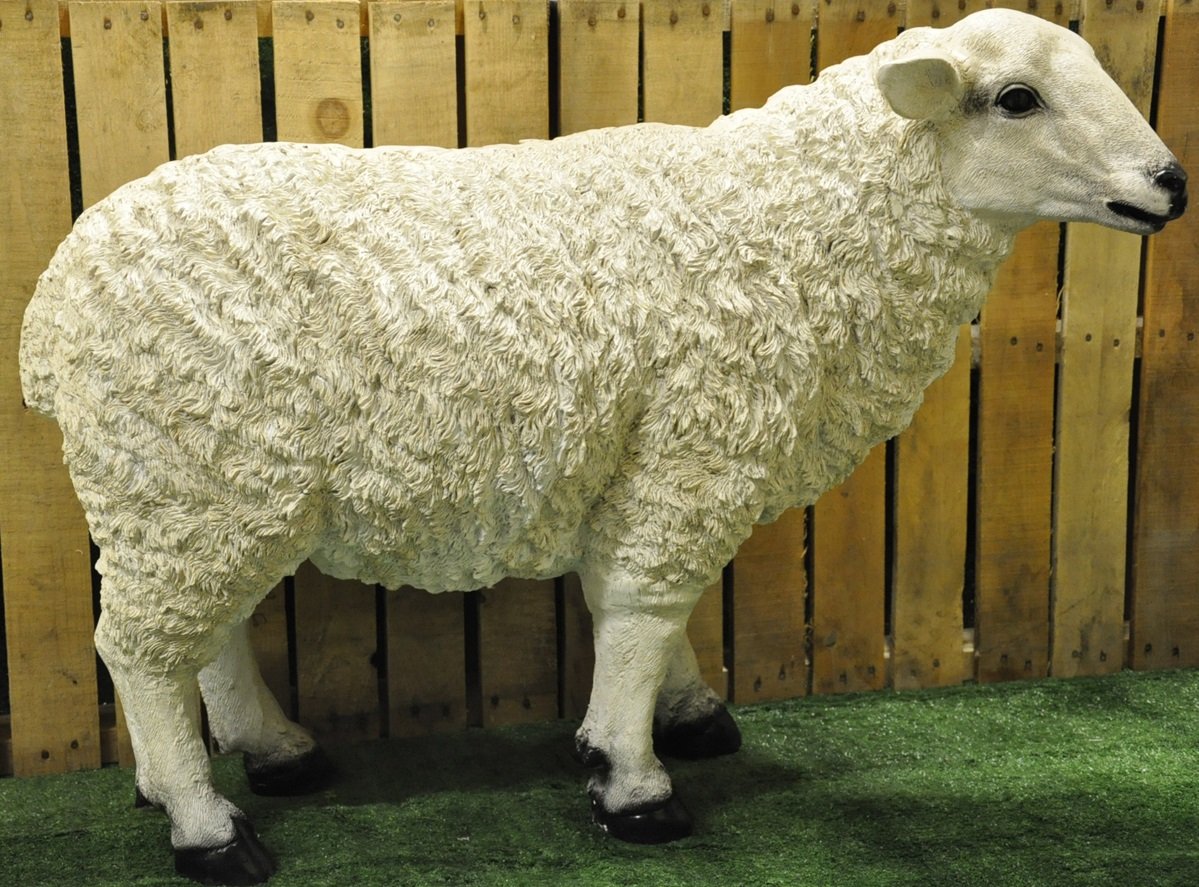 Full Size Resin Garden Sheep