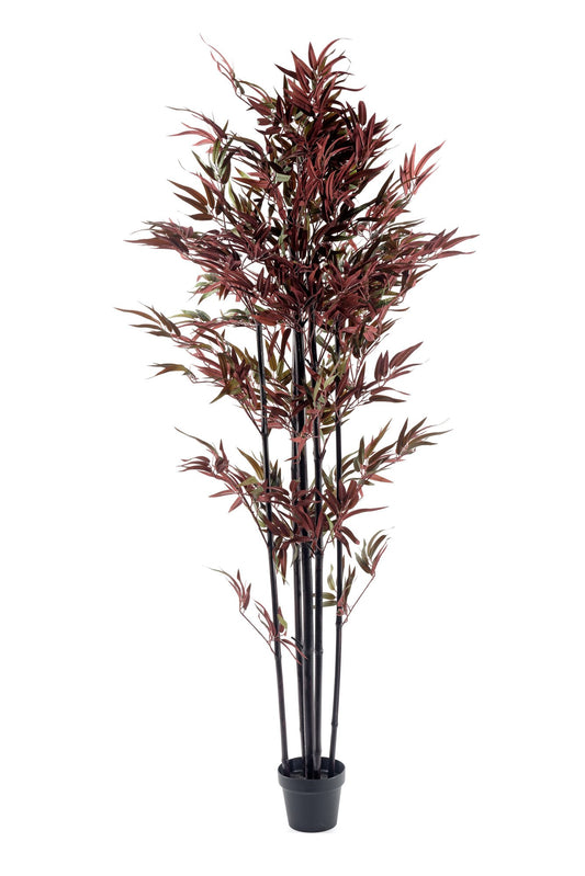 Bamboo Tree Red & Green 180cm