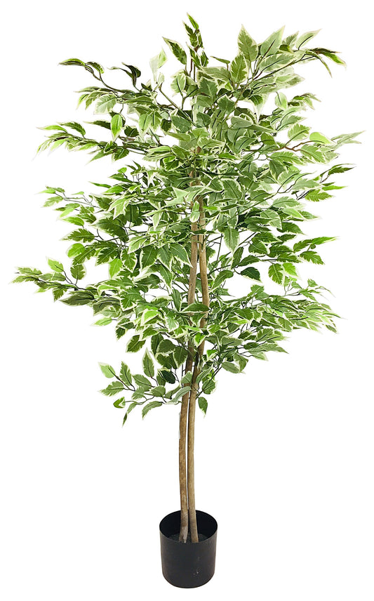 Artificial Ficus Tree With Variegation Leaves 160cm