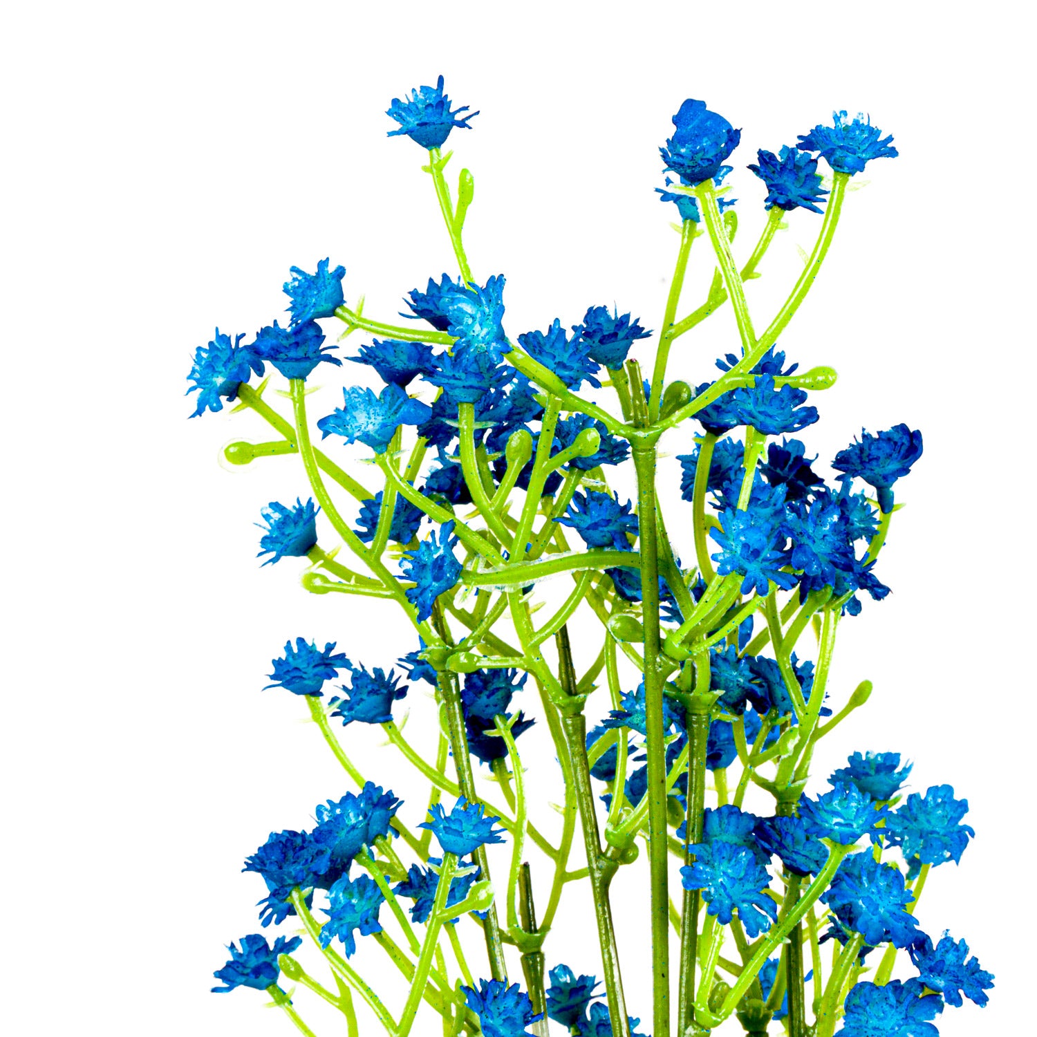 Blue Forget Me Not Spray
